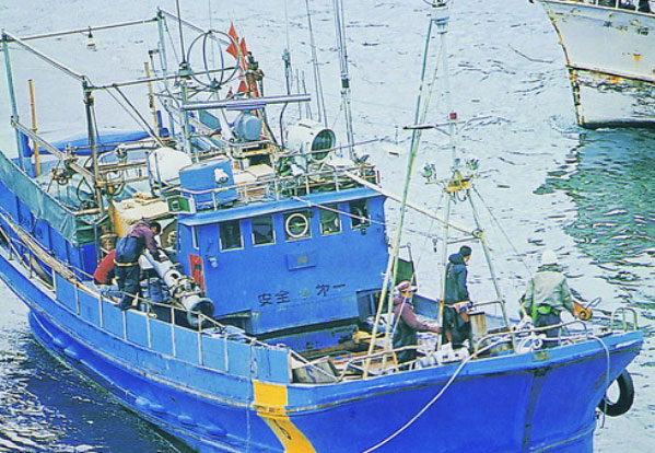 漁業(yè)魚類速凍